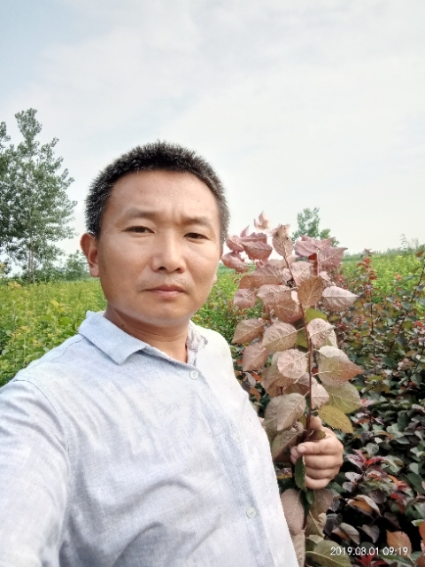 孩子爸的第一张照片--衡阳相亲服务中心
