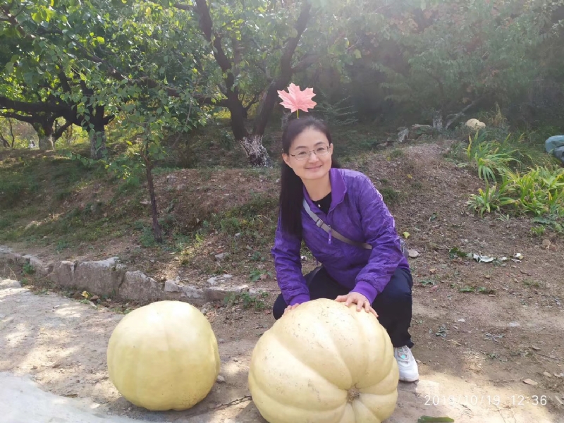 海绵宝宝的第一张照片--衡阳相亲服务中心